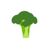 Яркое собрание красочного брокколи Овощ свежего мультфильма различный изолированный на белой предпосылке используемой для журнала иллюстрация вектора Яркое собрание красочного брокколи Овощ свежего мультфильма различный изолированный на белой предпосылке используемой для журнала иллюстрация вектора
