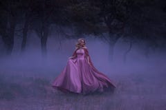 一个害怕女孩金发碧眼的女人跑远离盖了大雾的森林 在矮子,有a的一件豪华桃红色礼服 免版税库存图片 一个害怕女孩金发碧眼的女人跑远离盖了大雾的森林 在矮子,有a的一件豪华桃红色礼服 免版税库存图片