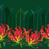 与Gloriosa superba的无缝的样式或火焰百合、热带花和叶子在深绿背景 免版税库存照片 与Gloriosa superba的无缝的样式或火焰百合、热带花和叶子在深绿背景 免版税库存照片