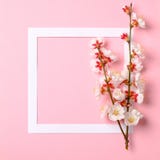 与开花佐仓分支、叶子和瓣的平的被放置的框架在水彩春天背景 顶视图,花卉框架,摘要 库存照片 与开花佐仓分支、叶子和瓣的平的被放置的框架在水彩春天背景 顶视图,花卉框架,摘要 库存照片