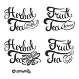 与手拉的字法的传染媒介例证 茶印刷品的时间集合和海报、菜单设计、邀请和问候 库存例证 与手拉的字法的传染媒介例证 茶印刷品的时间集合和海报、菜单设计、邀请和问候 库存例证
