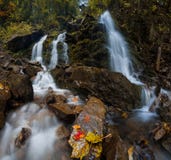 与美丽的瀑布的五颜六色的有薄雾的秋天风景在山河在有红色和黄色叶子的森林里 免版税库存图片 与美丽的瀑布的五颜六色的有薄雾的秋天风景在山河在有红色和黄色叶子的森林里 免版税库存图片