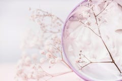 关闭有化妆奶油和花的瓶子,自然化妆产品或者秀丽概念在淡色背景 库存图片 关闭有化妆奶油和花的瓶子,自然化妆产品或者秀丽概念在淡色背景 库存图片