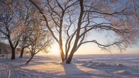 在日出的冬天风景 26个综合数字式巨大的mpix全景射击范围多雪的结构树 冷淡的自然 与树冰的树在湖支持盖由雪 温暖的黄色阳光 图库摄影 在日出的冬天风景 26个综合数字式巨大的mpix全景射击范围多雪的结构树 冷淡的自然 与树冰的树在湖支持盖由雪 温暖的黄色阳光 图库摄影