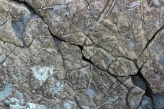 地球-层状岩石背景地质层数 库存图片 地球-层状岩石背景地质层数 库存图片