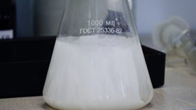 实验室玻璃爱伦美氏圆锥形烧瓶用化学实验的化工白色液体填装了在科学 免版税库存照片 实验室玻璃爱伦美氏圆锥形烧瓶用化学实验的化工白色液体填装了在科学 免版税库存照片