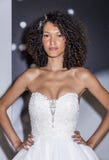 工作室Pronovias新娘2019年 库存照片 工作室Pronovias新娘2019年 库存照片