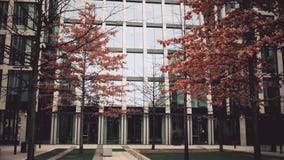 布拉格,捷克- 2016年12月3日 反对现代玻璃门面商业中心的橙色和不生叶的秋天树 免版税库存图片 布拉格,捷克- 2016年12月3日 反对现代玻璃门面商业中心的橙色和不生叶的秋天树 免版税库存图片