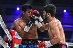 拳击手Ramil Gadzhyiev和布鲁诺桑多瓦尔为世界拳击理事会国际银色超级中量级运动员的标题战斗 图库摄影 拳击手Ramil Gadzhyiev和布鲁诺桑多瓦尔为世界拳击理事会国际银色超级中量级运动员的标题战斗 图库摄影