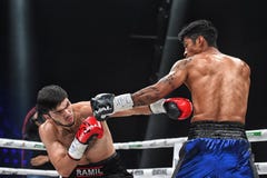 拳击手Ramil Gadzhyiev和布鲁诺桑多瓦尔为世界拳击理事会国际银色超级中量级运动员的标题战斗 免版税图库摄影 拳击手Ramil Gadzhyiev和布鲁诺桑多瓦尔为世界拳击理事会国际银色超级中量级运动员的标题战斗 免版税图库摄影