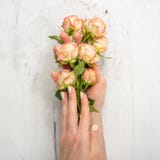 时尚艺术画象妇女在手中和花在手中与明亮的对比构成 女孩照片的创造性的秀丽坐在的 图库摄影 时尚艺术画象妇女在手中和花在手中与明亮的对比构成 女孩照片的创造性的秀丽坐在的 图库摄影