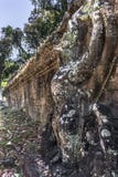 暹粒吴哥窟Preah可汗是寺庙在吴哥,柬埔寨,创立在Jayavarman国王的12世纪VII 免版税图库摄影 暹粒吴哥窟Preah可汗是寺庙在吴哥,柬埔寨,创立在Jayavarman国王的12世纪VII 免版税图库摄影