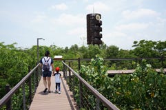 曼谷泰国2019年4月13日:走和学会树的母亲和孩子在PTT重新造林学院 免版税库存照片 曼谷泰国2019年4月13日:走和学会树的母亲和孩子在PTT重新造林学院 免版税库存照片