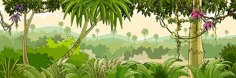 有棕榈树的全景动画片绿色热带森林 免版税库存图片 有棕榈树的全景动画片绿色热带森林 免版税库存图片