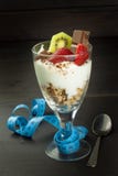 玻璃用酸奶和muesli 运动员的健康膳食补充剂 早餐Muesli和果子的Cheerios 免版税库存图片 玻璃用酸奶和muesli 运动员的健康膳食补充剂 早餐Muesli和果子的Cheerios 免版税库存图片