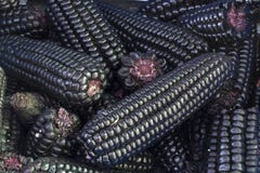 秘鲁紫色玉米(maiz morado), 免版税库存图片 秘鲁紫色玉米(maiz morado), 免版税库存图片