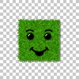 绿草正方形领域3D 面孔微笑 兴高采烈的象草的象,被隔绝的白色透明背景 概念许多生态的图象我的投资组合 免版税库存照片 绿草正方形领域3D 面孔微笑 兴高采烈的象草的象,被隔绝的白色透明背景 概念许多生态的图象我的投资组合 免版税库存照片