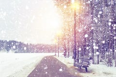 背景蓝色雪花白色冬天 降雪在日落的Xmas公园 faling在多雪的森林圣诞节和新年题材的雪花 免版税图库摄影 背景蓝色雪花白色冬天 降雪在日落的Xmas公园 faling在多雪的森林圣诞节和新年题材的雪花 免版税图库摄影