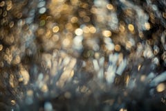 艺术性的模糊的bokeh Defocused和被弄脏的黑背景 库存例证 艺术性的模糊的bokeh Defocused和被弄脏的黑背景 库存例证