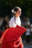 节日DC游行 库存图片 节日DC游行 库存图片