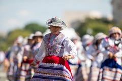 节日DC游行 图库摄影 节日DC游行 图库摄影