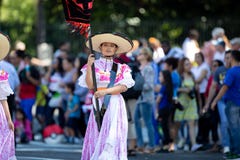 节日DC游行 图库摄影 节日DC游行 图库摄影