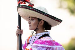 节日DC游行 免版税库存照片 节日DC游行 免版税库存照片