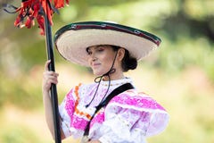 节日DC游行 库存图片 节日DC游行 库存图片