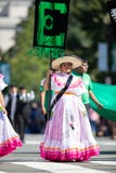 节日DC游行 免版税库存图片 节日DC游行 免版税库存图片