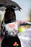 节日DC游行 免版税图库摄影 节日DC游行 免版税图库摄影
