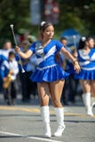 节日DC游行 库存照片 节日DC游行 库存照片