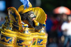 节日DC游行 免版税库存照片 节日DC游行 免版税库存照片