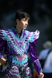 节日DC游行 免版税图库摄影 节日DC游行 免版税图库摄影