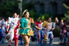 节日DC游行 库存图片 节日DC游行 库存图片