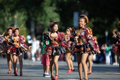 节日DC游行 库存图片 节日DC游行 库存图片