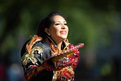节日DC游行 免版税图库摄影 节日DC游行 免版税图库摄影