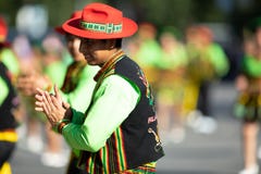 节日DC游行 免版税库存图片 节日DC游行 免版税库存图片