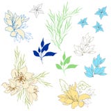 设置葡萄酒精美花 夏天花,手拉在白色背景 r 皇族释放例证 设置葡萄酒精美花 夏天花,手拉在白色背景 r 皇族释放例证