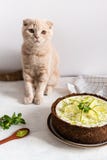 逗人喜爱的猫用乳酪蛋糕 与石灰和薄菏的乳酪蛋糕在白色背景 o 咖啡厅,糖果店概念,为 图库摄影 逗人喜爱的猫用乳酪蛋糕 与石灰和薄菏的乳酪蛋糕在白色背景 o 咖啡厅,糖果店概念,为 图库摄影