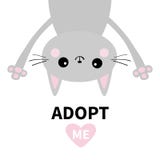 采取我 不要买 灰色猫 垂悬的upsidedown 桃红色重点 宠物收养 Kawaii动物 逗人喜爱的动画片全部赌注字符 滑稽的bab 图库摄影 采取我 不要买 灰色猫 垂悬的upsidedown 桃红色重点 宠物收养 Kawaii动物 逗人喜爱的动画片全部赌注字符 滑稽的bab 图库摄影