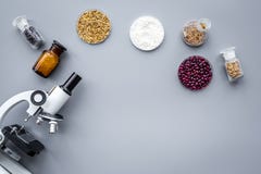 食品安全性 麦子、米和红豆在显微镜附近在灰色背景顶视图copyspace 库存照片 食品安全性 麦子、米和红豆在显微镜附近在灰色背景顶视图copyspace 库存照片