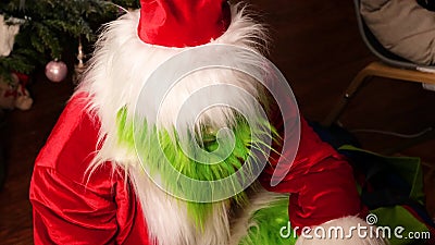 incident Counting insects Whose χριστουγεννιάτικος ηθοποιός με χειροποίητη στολή άγιου βασίλη απόθεμα  βίντεο - Βίντεο από : 215459377