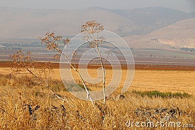 https://thumbs.dreamstime.com/x/%D0%BF%D1%80%D0%B8%D1%80%D0%BE-%D0%B0-%D0%B6-%D0%B0%D1%82%D1%8C-%D0%BE%D0%B6-%D1%8C-77092399.jpg