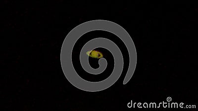 Сатурн Через Телескоп Фото