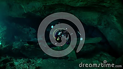 漂珠在清水中的树根和树根及太阳光 影视素材 视频包括有反映 下面 岩石 唯一 改良 英尺长度 漂珠在清水中的树根和树根及太阳光 影视素材 视频包括有反映 下面 岩石 唯一 改良 英尺长度