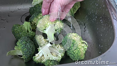 清洗倒满蔬菜的西兰花水影视素材 视频包括有行动 倾吐 清洁 慢慢 饮食 成份 副食品 清洗倒满蔬菜的西兰花水影视素材 视频包括有行动 倾吐 清洁 慢慢 饮食 成份 副食品