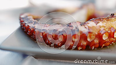 烤章鱼触手影视素材 视频包括有