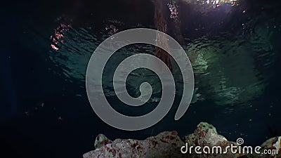 墨西哥育卡坦洞窟美 影视素材 视频包括有危险 干净 技术 洞穴 挂接 结算 游泳 坦克 墨西哥育卡坦洞窟美 影视素材 视频包括有危险 干净 技术 洞穴 挂接 结算 游泳 坦克