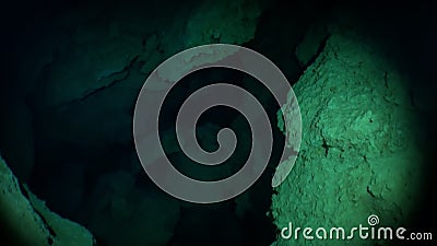 墨西哥育卡坦空心微珠水下洞穴潜水美 影视素材 视频包括有技术 阳光 潜航 本质 新鲜 极其 墨西哥育卡坦空心微珠水下洞穴潜水美 影视素材 视频包括有技术 阳光 潜航 本质 新鲜 极其