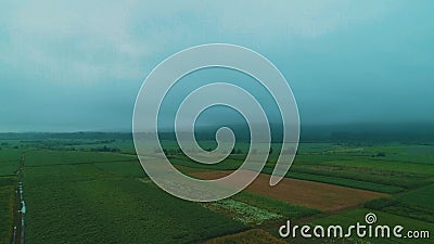 美丽的田地干草堆乡间别墅 影视素材 视频包括有结构树 房子 采取 干草 草甸 夜间 麦子 美丽的田地干草堆乡间别墅 影视素材 视频包括有结构树 房子 采取 干草 草甸 夜间 麦子